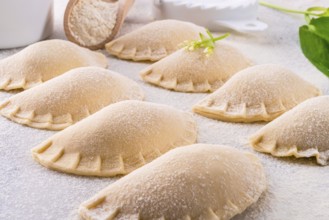 Pierogi with wild garlic filling