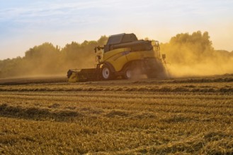 Big combine harvester threshing in the sunset