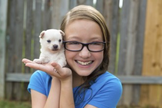 Kid girl with puppy pet chihuahua playing happy with doggy outdoor