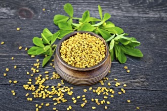 Fenugreek seeds in a bowl and on a table with green leaves against a black wooden board