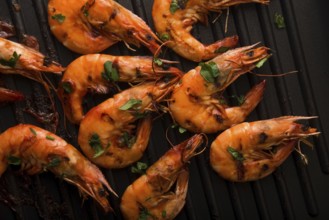 Grilled shrimps with tomato sauce