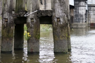 Rotten wooden pillars