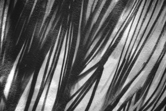 The close-up of black and white striped brushstrokes on a layer of plaster
