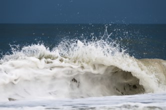 Stormy sea in Denmark at the north sea coast in summertime