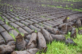 Peat extraction in East Frisia