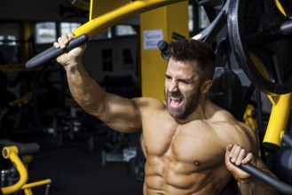An image of a handsome bearded bodybuilding man doing chest workout