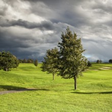 Summer golf course after storm