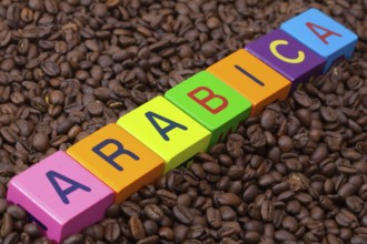 Colored children's cubes and coffee beans - Arabica is the most valuable species of coffee plant,