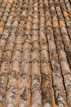 The texture of the old brown shingles on the roof of the building.