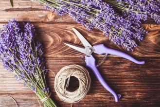 Lavender cutting - cutters and fresh flowers on wooden table