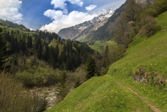 Hiking in South Tyrol