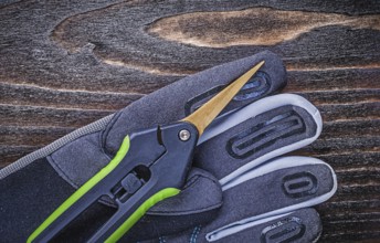 Working safety gloves clippers close up view gardening concept