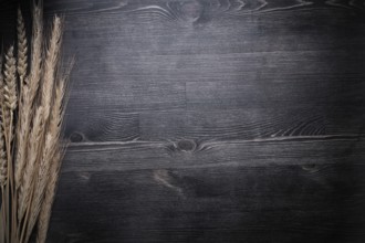 Wheat rye ears on wooden board food and drink concept