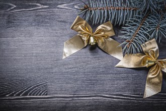 Goldish bows fir tree branch on wooden board holiday concept