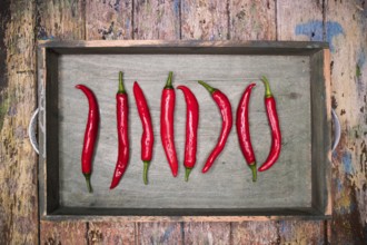 Photographic representation of some spicy and fresh red peppers