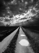 A path with puddles, Upper Weser Valley, Weser Uplands, Weserbergland, Hesse, Germany, Europe