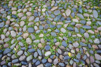 Acorn street Beacon Hill cobblestone soil detail Boston in Massachusetts USA
