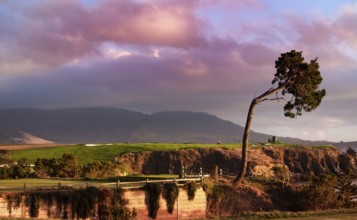 Coastline golf course, greens and bunkers in California, usa