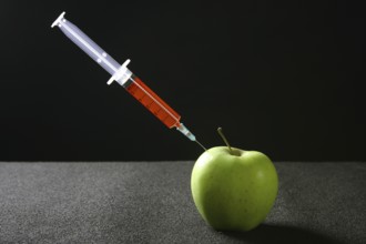 Apple fruit research metaphor, red syringe manipulation