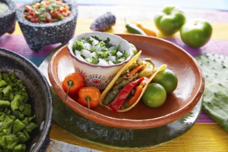 Nopal taco mexican food with chili pepper and ingredients on colorful table
