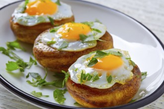 Tapas mushrooms with quail eggs from Spain pinchos pintxos