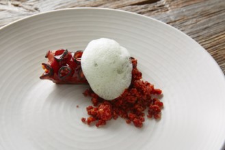 Grilled octopus with parsley air foam served with crunchy chorizo sausage