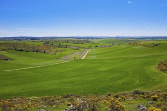 The way of Saint James from Atapuerca cross to Burgos in Castilla