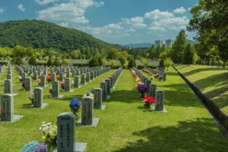 Daejeon, South Korea, September 19, 2019: Rows of numbered headstones at national cemetery with