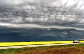 Summer Storms in the Canadian Prairies Dramatic Scenes