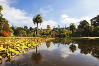 Royal Botanic Gardens Victoria on a cool autumn morning in Melbourne, Victoria, Australia, Oceania