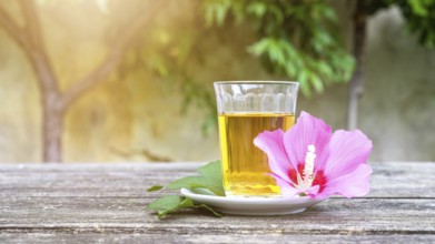 A mallow tea with blossom on old wooden background
