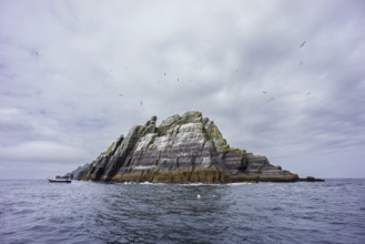 Sceilg Bheag, Skellig Rock Small, Ireland, United Kingdom, Europe