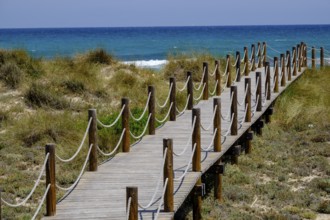 Pasarelas de madera sobre las dunas, Son Serra de Marina, Mallorca, balearic islands, Spain, Europe