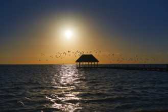 Holbox island sunset beach tropical hut pier in Mexico