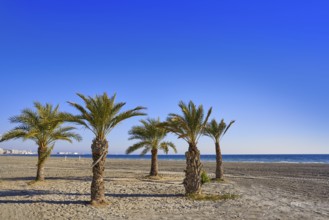 Santa Pola Tamarit beach in Alicante of Spain at Costa Blanca