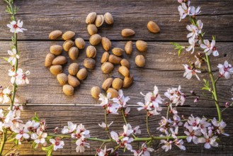 Almond spring blossom harvest on wooden board