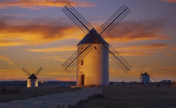 Mota del Cuervo windmills in Cuenca at Castile la Mancha of spain