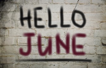 Months Of The Year Concept