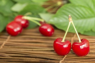 Cherries and branch with leaves. Studio shot
