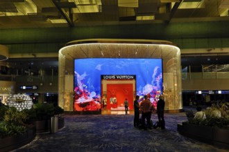 Shop of the luxury brand Louis Vuitton in Terminal 3, Changi Airport Singapore, Singapore, Asia