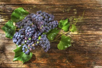 Late summer fruits, collection of black grape strawberry