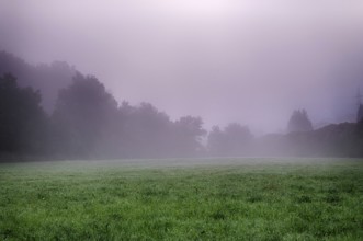 Morning atmosphere with fog