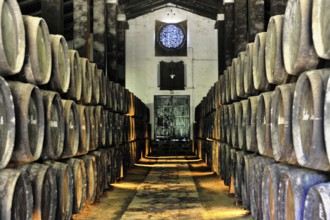 Bodega Pedro Romero, Sanlucar de Barrameda, Cadiz province, rows of wooden barrels in a rustic