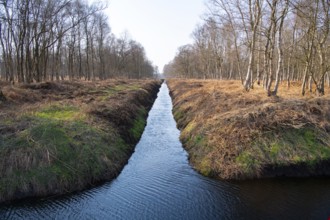 Drainage ditch in a moor, environmental damage, Lower Saxony, Germany, Europe