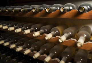 Wine bottles on shelf. Wine cellar. Close up wine bottles
