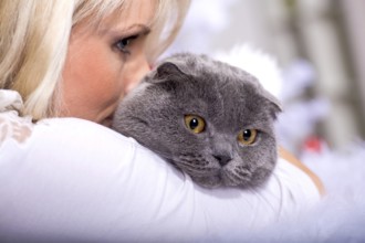 Portrait of a Scottish shorthair cat and a woman at the Christmas tree