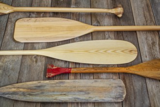Old and new wooden canoe paddles on a wood deck