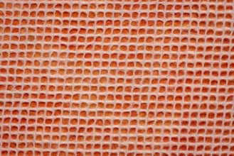 White Thai mulberry lace paper with a grid pattern against orange background