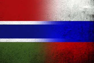 National flag of Russian Federation with The Republic of The Gambia National flag. Grunge
