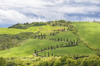 Tuscan rural landscape view with a winding road on a hill